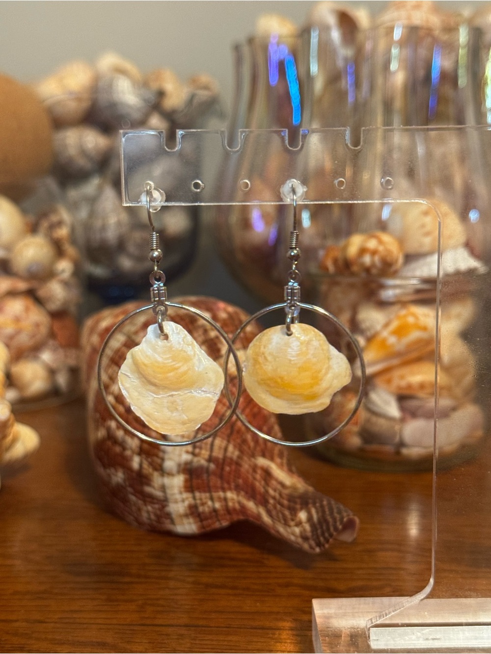 Yellow-Orange Jingle Shell Stainless Steel Hoop Drop Earrings